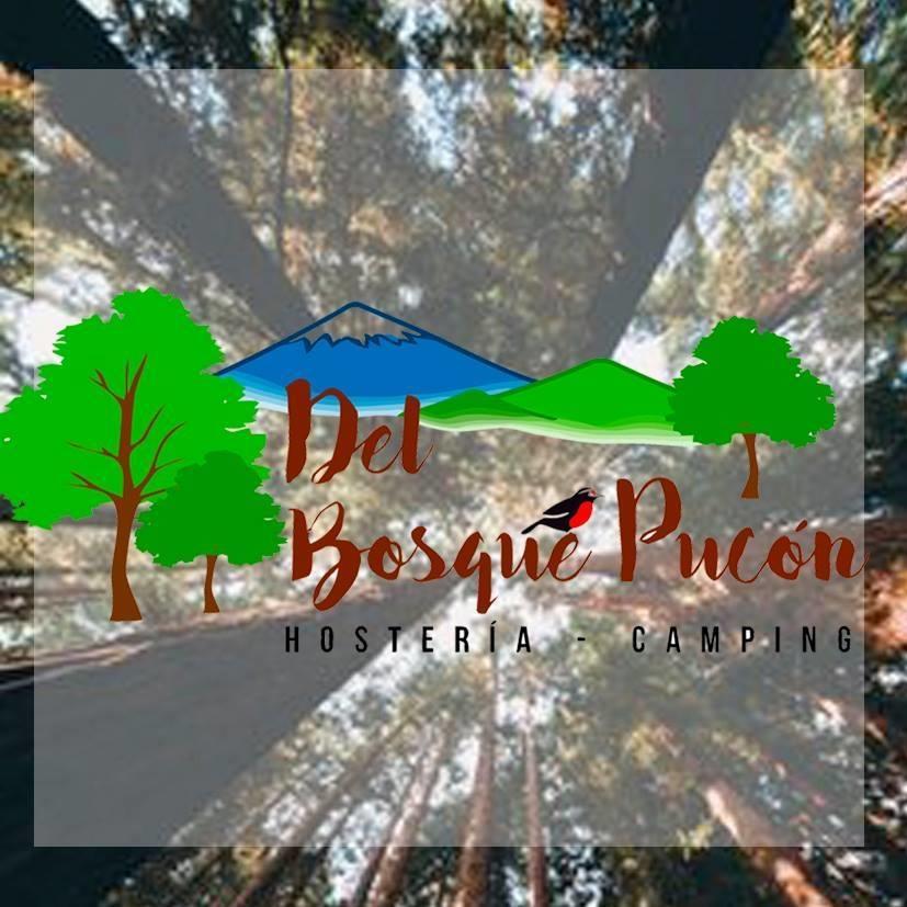 Hosteria Y Camping Del Bosque Pucon Exterior photo